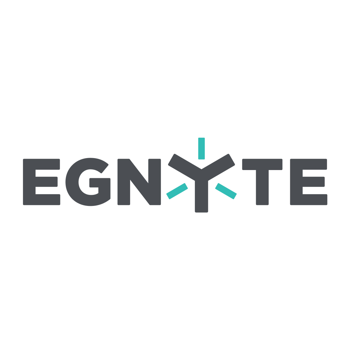 Egnyte-Logo-PressKit